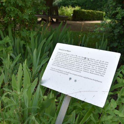 Schild "Hildegard von Bingen"