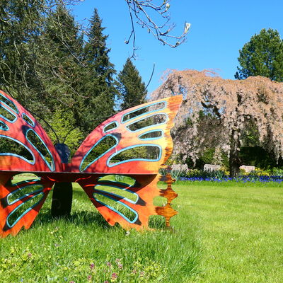 Themenfeld "Schmetterlingswiese" auf dem Stadtfriedhof
