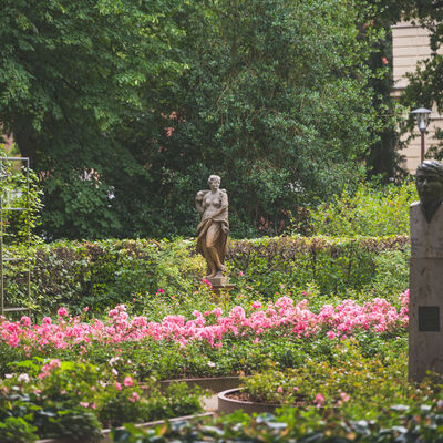 Franz&ouml;sischer Garten